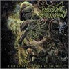 Embryonic Devourment - Vivid Interpretations Of The Void