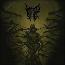 Defeated Sanity - Passages Into Deformity Lp