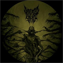 Defeated Sanity - Passages Into Deformity Limited Edition Picture Disc Lp