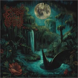 Sallow Moth - Hydrophilous Brood Lp